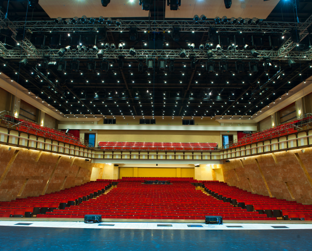 АУК «Омская филармония», Концертный зал